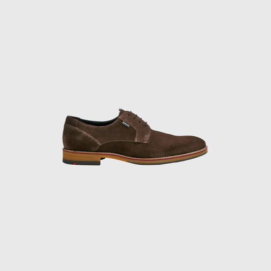 Lloyd Vickers Suede Shoe